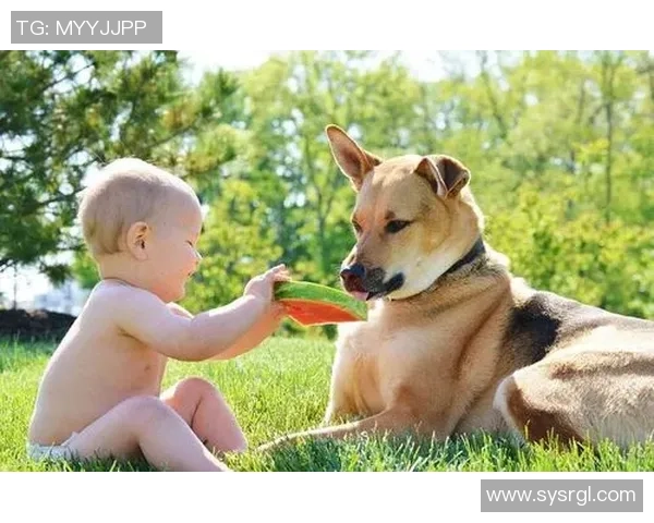 足球明星与宠物们的亲密生活揭秘他们如何与心爱的小动物共度时光