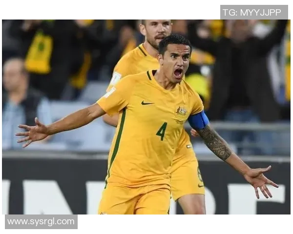 中国足球传承与辉煌再现球星卡合集展现足坛传奇与未来希望 中国足球传承与辉煌再现球星卡合集展现足坛传奇与未来希望